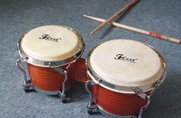 How to Play Bongo Drums